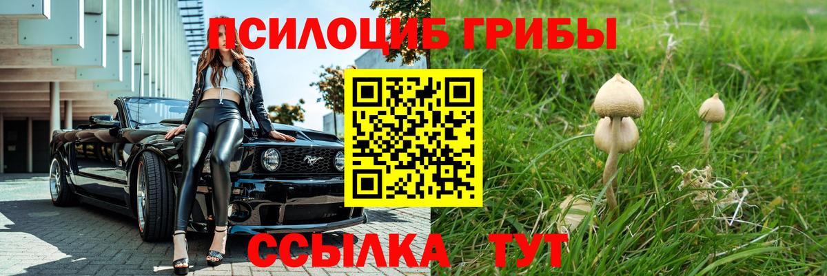 Галлюциногенные грибы мицелий  Вход с VPN  Красноперекопск  Галлюциногенные грибы GOLDEN TEACHER 