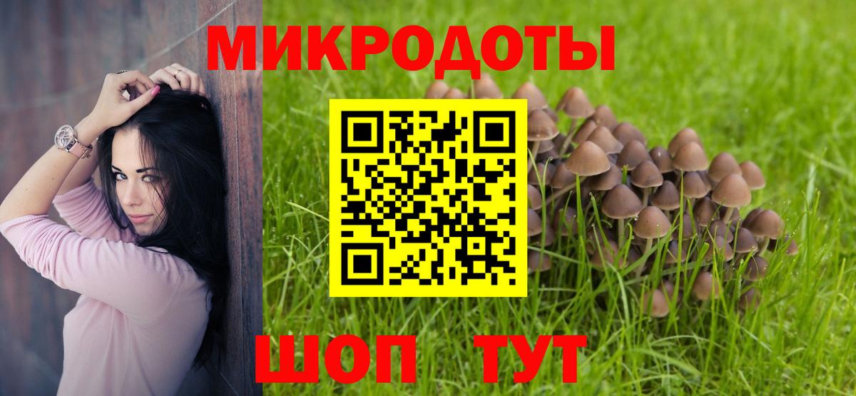 Псилоцибиновые грибы Psilocybine cubensis Красноперекопск